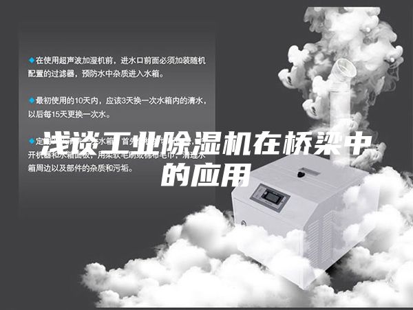 浅谈工业除湿机在桥梁中的应用