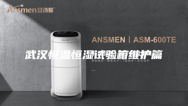 武汉恒温恒湿试验箱维护篇