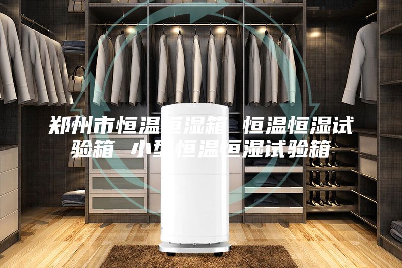 郑州市恒温恒湿箱 恒温恒湿试验箱 小型恒温恒湿试验箱