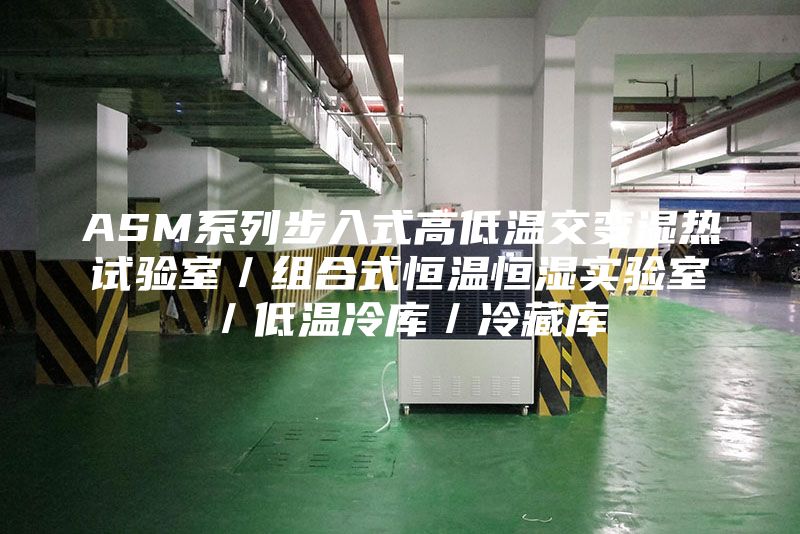 ASM系列步入式高低温交变湿热试验室／组合式恒温恒湿实验室／低温冷库／冷藏库