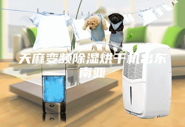 天麻变频除湿烘干机出东南亚