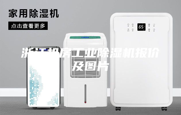 浙江机房工业除湿机报价及图片