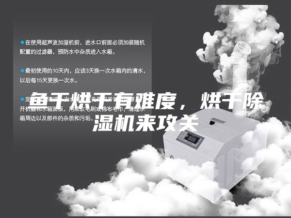 鱼干烘干有难度，烘干除湿机来攻关
