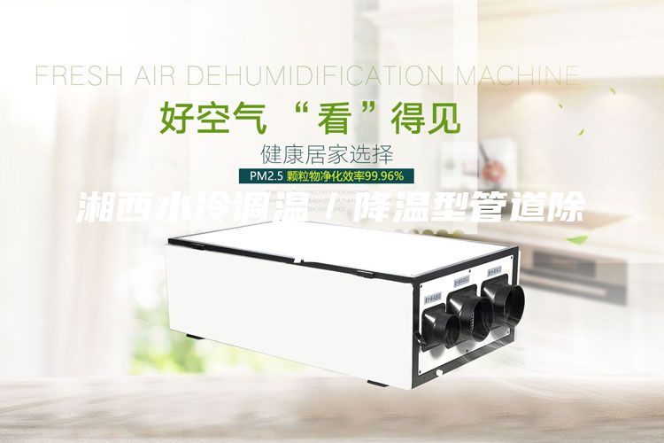 湘西水冷调温/降温型管道除湿机