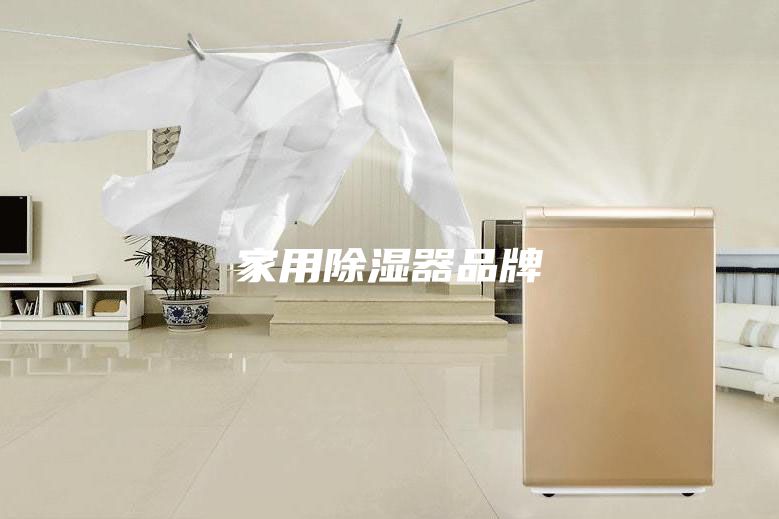 家用除湿器品牌