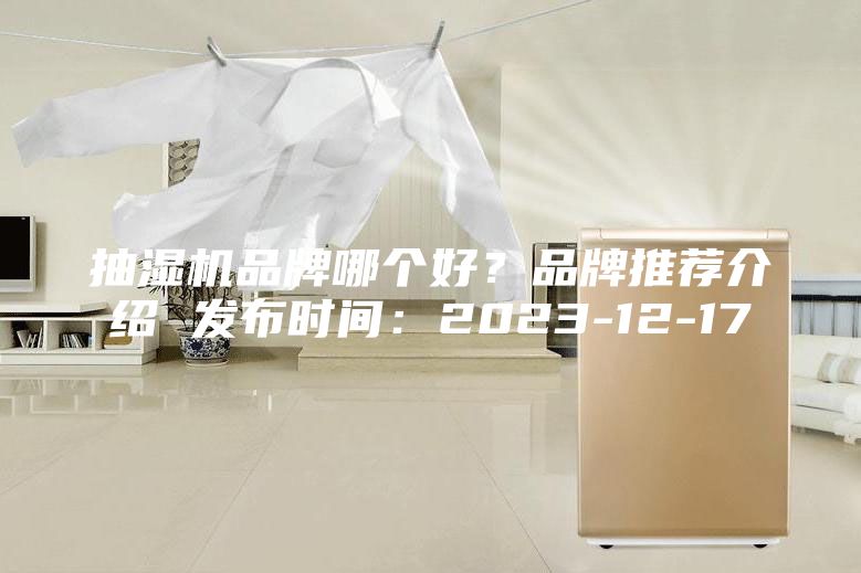 抽湿机品牌哪个好?品牌推荐介绍 发布时间:2023-12-17