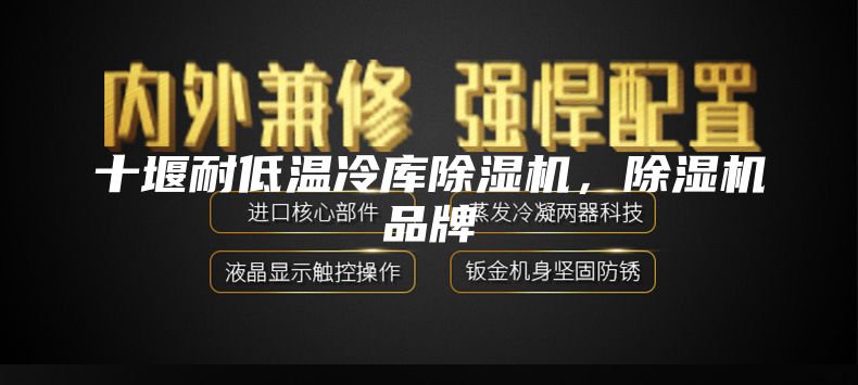 十堰耐低温冷库除湿机,除湿机品牌
