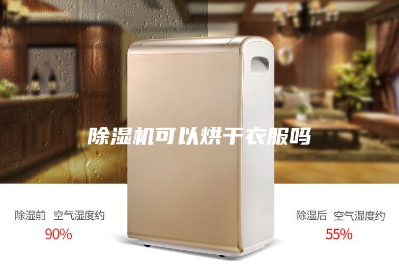 除湿机可以烘干衣服吗