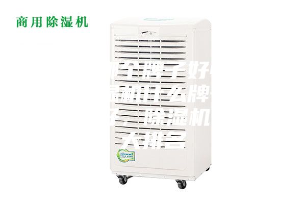 除湿机哪个牌子好性价比高,除湿机什么牌子最好品质最好,除湿机品牌十大排名
