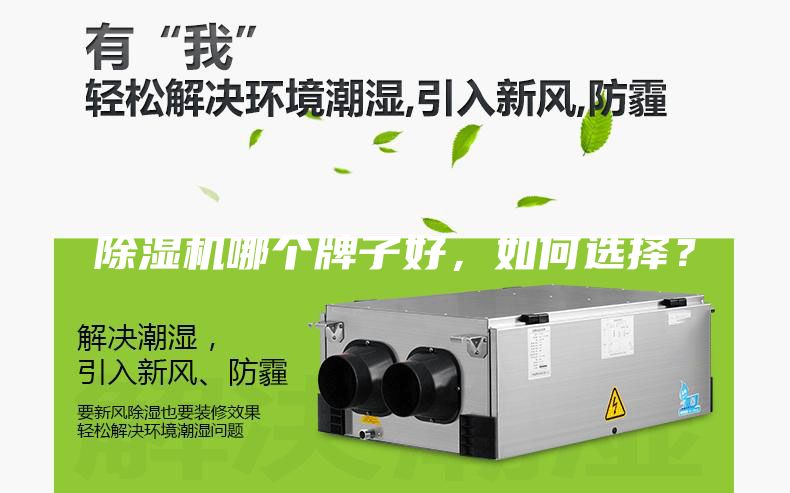 除湿机哪个牌子好，如何选择？