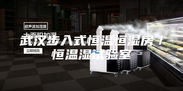 武汉步入式恒温恒湿房／恒温湿试验室