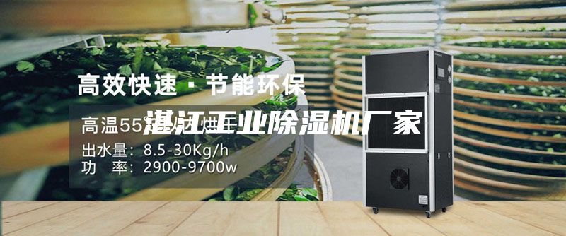 湛江工业除湿机厂家