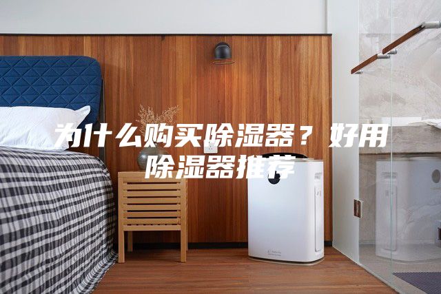 为什么购买除湿器？好用除湿器推荐