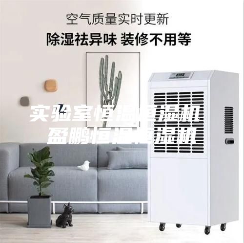 实验室恒温恒湿机 盈鹏恒温恒湿机