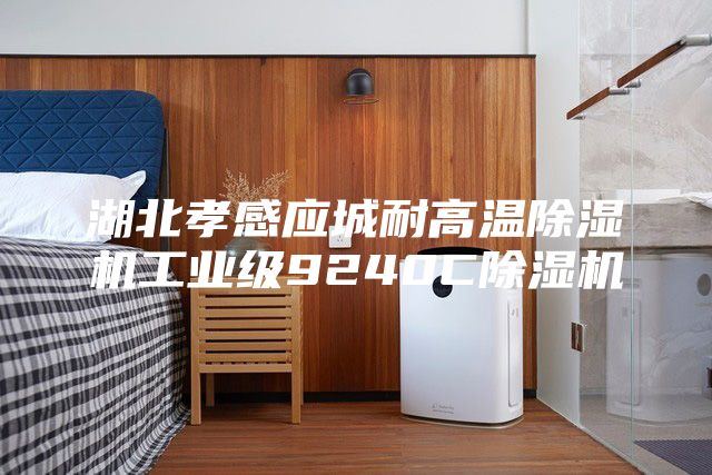 湖北孝感应城耐高温除湿机工业级9240C除湿机