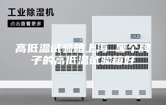 高低温试验箱上海 哪个牌子的高低温试验箱好