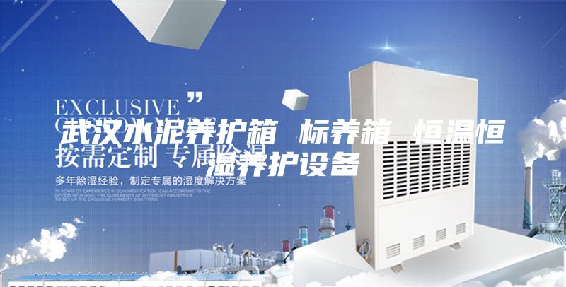 武汉水泥养护箱 标养箱 恒温恒湿养护设备