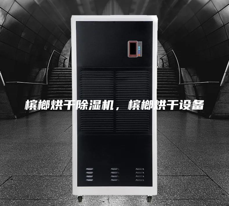 槟榔烘干除湿机，槟榔烘干设备