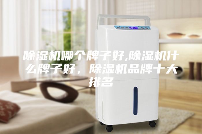 除湿机哪个牌子好,除湿机什么牌子好,除湿机品牌十大排名