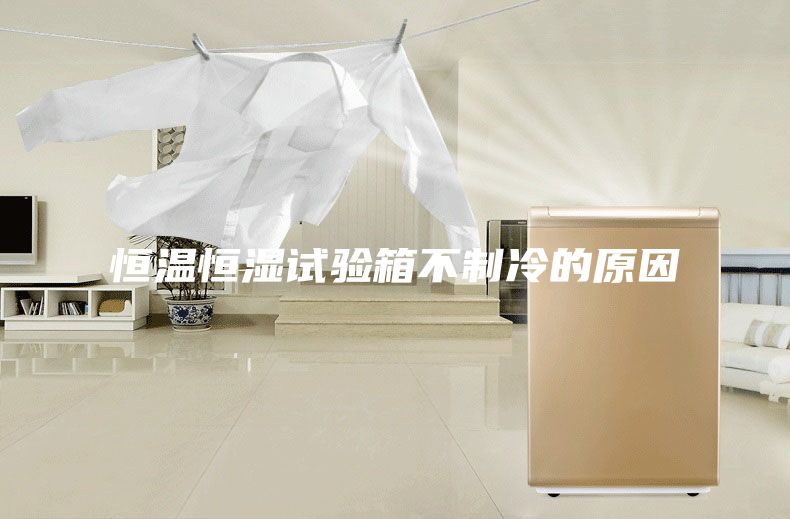 恒温恒湿试验箱不制冷的原因