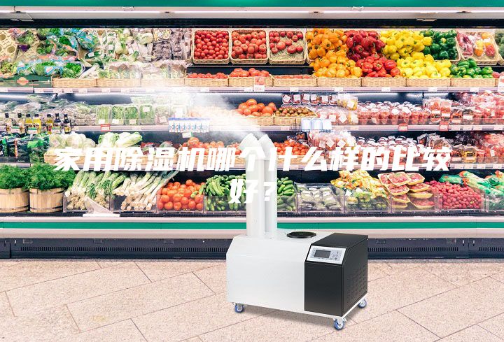 家用除湿机哪个什么样的比较好?