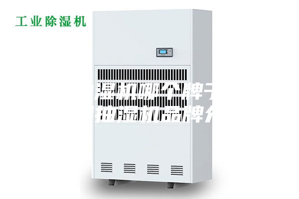 家用抽湿机哪个牌子好—家用抽湿机品牌介绍