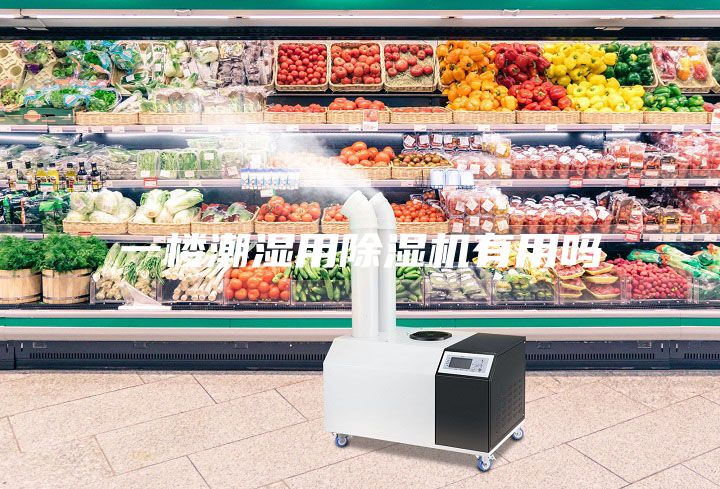 一楼潮湿用除湿机有用吗