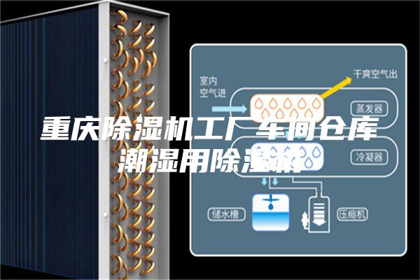 重庆除湿机工厂车间仓库潮湿用除湿机