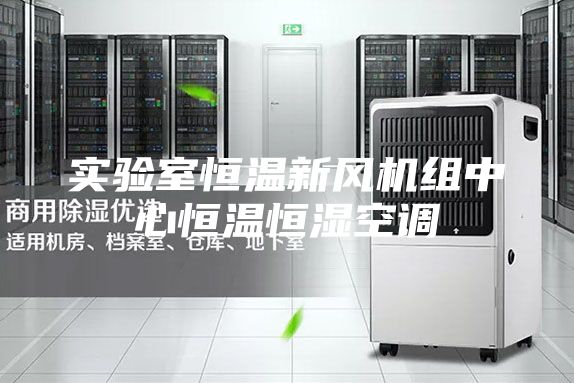 实验室恒温新风机组中心恒温恒湿空调