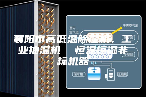 襄阳市高低温除湿机，工业抽湿机  恒温恒湿非标机器