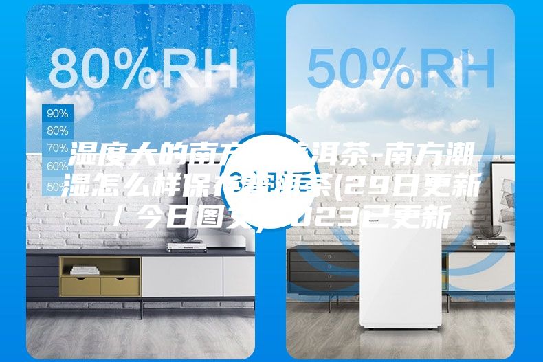 湿度大的南方存普洱茶-南方潮湿怎么样保存普洱茶(29日更新/今日图文)2023已更新