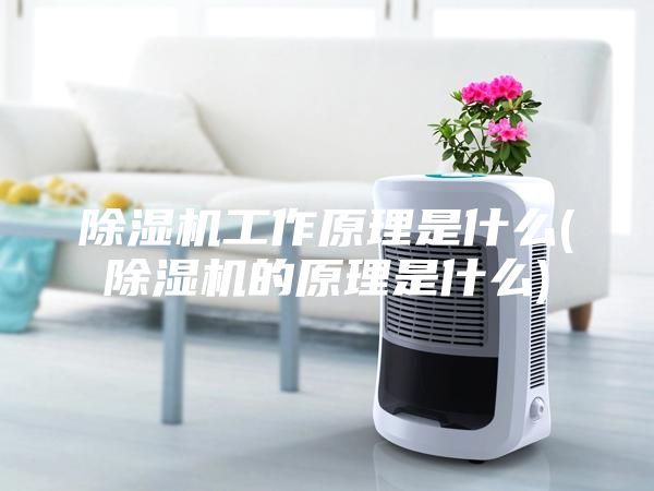 除湿机工作原理是什么(除湿机的原理是什么)