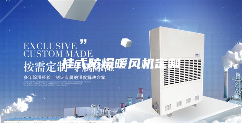 挂式防爆暖风机定制