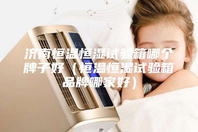 济南恒温恒湿试验箱哪个牌子好(恒温恒湿试验箱品牌哪家好)