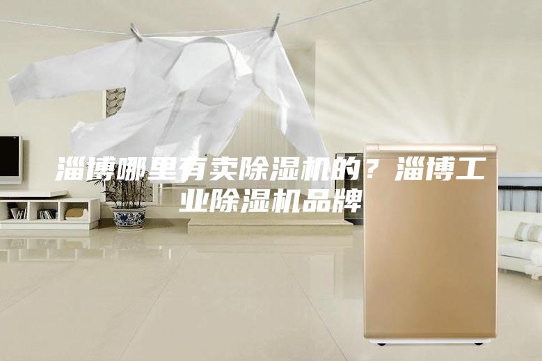 淄博哪里有卖除湿机的?淄博工业除湿机品牌