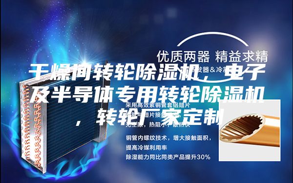 干燥间转轮除湿机,电子及半导体专用转轮除湿机,转轮厂家定制