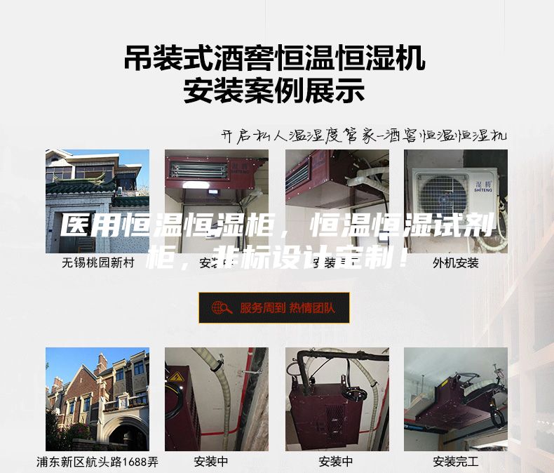 医用恒温恒湿柜,恒温恒湿试剂柜,非标设计定制!