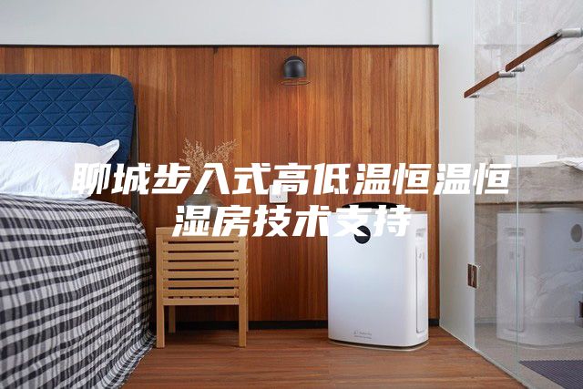 聊城步入式高低温恒温恒湿房技术支持