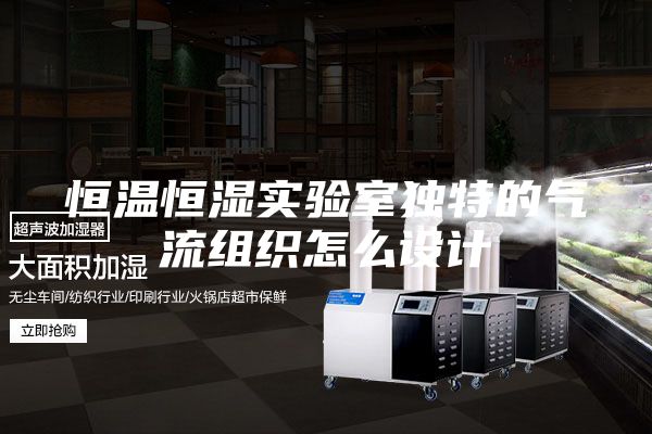 恒温恒湿实验室独特的气流组织怎么设计