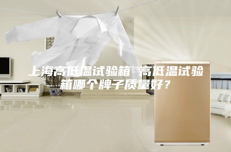 上海高低温试验箱 高低温试验箱哪个牌子质量好？
