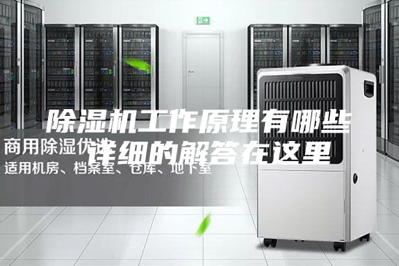除湿机工作原理有哪些 详细的解答在这里