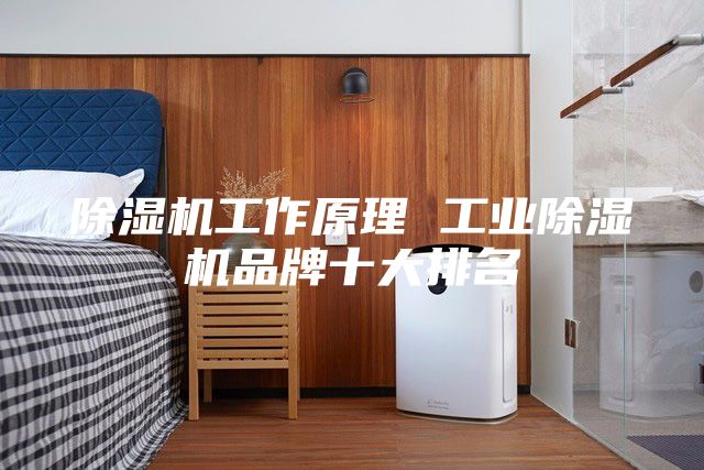 除湿机工作原理 工业除湿机品牌十大排名