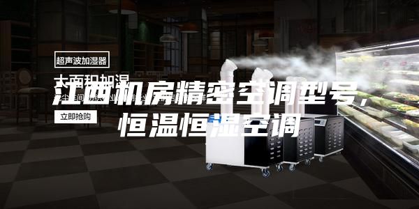 江西机房精密空调型号,恒温恒湿空调