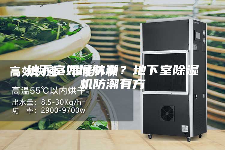 地下室如何防潮?地下室除湿机防潮有方