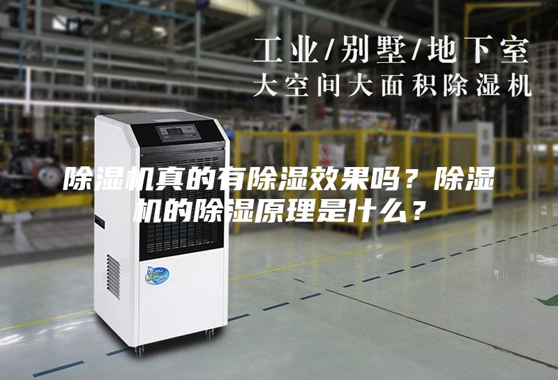 除湿机真的有除湿效果吗?除湿机的除湿原理是什么?