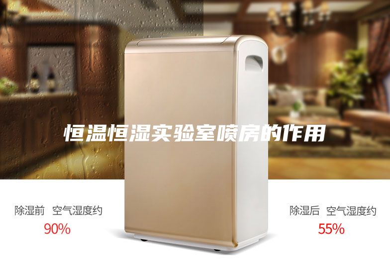 恒温恒湿实验室喷房的作用