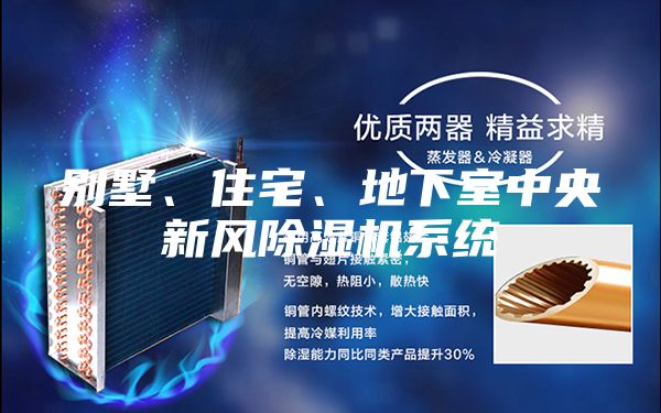 别墅、住宅、地下室中央新风除湿机系统