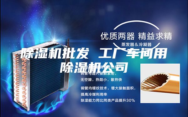 除湿机批发 工厂车间用除湿机公司