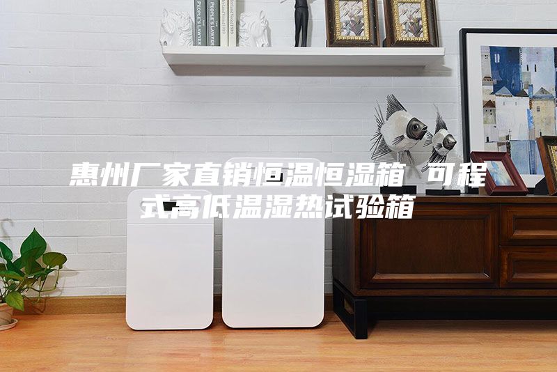 惠州厂家直销恒温恒湿箱 可程式高低温湿热试验箱