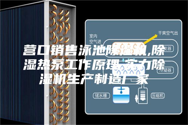 营口销售泳池除湿机,除湿热泵工作原理,实力除湿机生产制造厂家